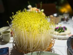 -巴倒烫陆派火锅山庄(南山总店)