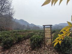 -中国茶叶博物馆(双峰馆区)