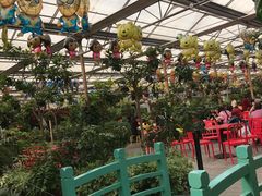 -南宫五洲植物乐园