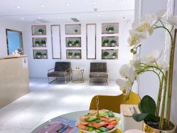 -MIVI野生眉纹绣纹眉