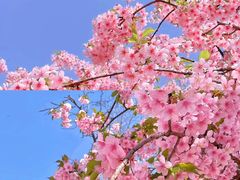 -永安水煮活鱼·仪征土菜院子