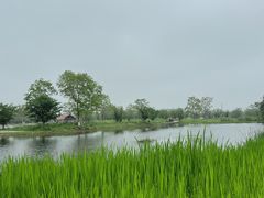 -良渚古城遗址公园