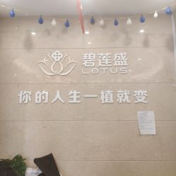 -碧莲盛·不剃发植发