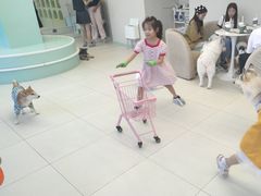 -怪兽屋·羊驼·猫咖·狗咖(俊华广场店)