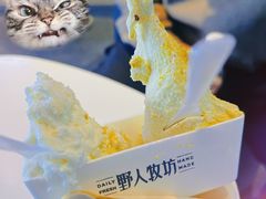 -野人牧坊Gelato(天津南开大悦城店)