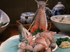 小竹荚鱼刺身-加奈日本料理