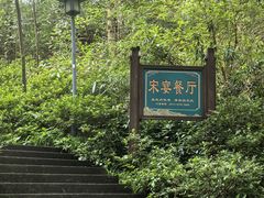-宋宴(虎跑店)