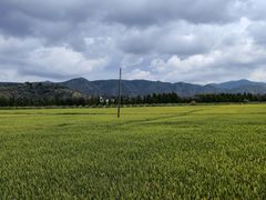 -大理洱海