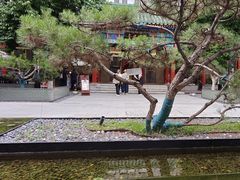 -庐灶江南·江南菜·四合院Bistro(东直门雍和宫·原华侨宾馆店)