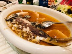 清蒸鲥鱼-宁波汉通海鲜大酒店(江湾店)