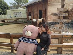 -HERRE·FARM 赫尔露营农场·团建聚会包场