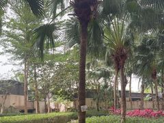 -三亚亚特兰蒂斯度假区