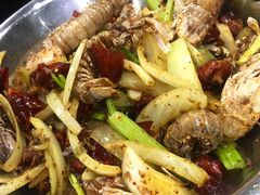 麻辣虾爬子-辣盆盆麻辣小龙虾(哈尔滨总店)