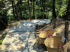 -九龙池景区