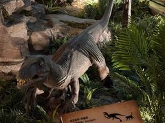 -陕西自然博物馆