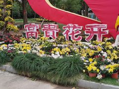 -东钱湖水上乐园(南门)