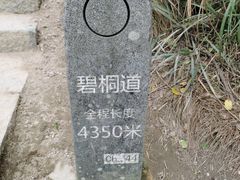 -梧桐山风景名胜区