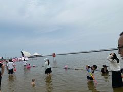 -碧海金沙