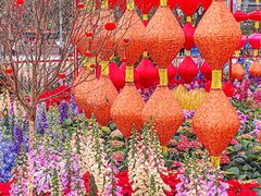 -天河体育中心