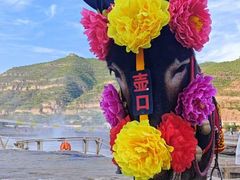 -陕西黄河壶口瀑布旅游区