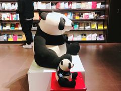 -匯智光华书店(首都机场T3店)