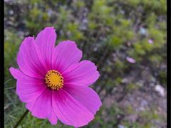 -八一路好吃街(雨田商务大厦店)