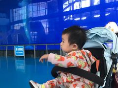 -泉城欧乐堡海洋极地世界