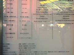 -捷运美丽岛站(The Dome of Light)