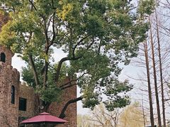 -J Create城市露营咖啡·简餐·宠物(上海动物园店)