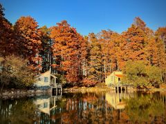 -上海共青森林公园