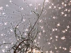 -广交会威斯汀酒店