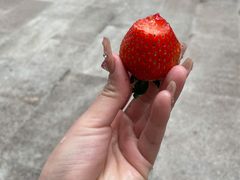 -铭辉沙嗲面(新街商业城店)