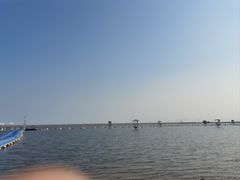-碧海金沙