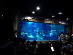 -梦幻海洋王国(吾悦广场张家港店)