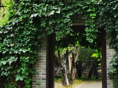 -国家植物园南园