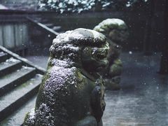 -缙云山景区