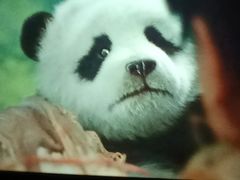 -苏宁影城(人民路店)