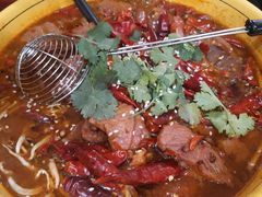 -熊猫川菜馆 panda chine