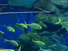 -成都浩海立方海洋公园