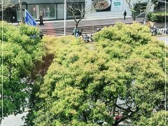 -Ms.Pilates 普拉提技术(尚悦湾陆家嘴店)