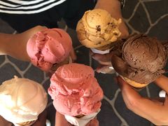 -Dooley's Premium Ice Cream