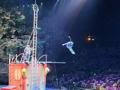 -广州长隆国际大马戏