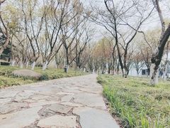 -白塘生态植物园
