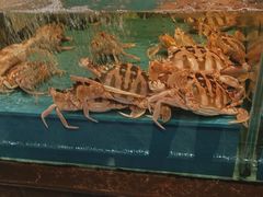 -阿伟海鲜楼·福建菜(延寿店)