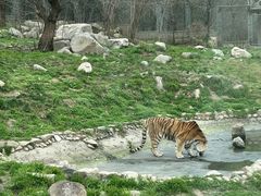 -西安秦岭野生动物园
