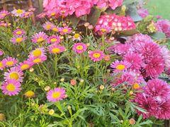 -冰冰龙虾·江湖菜·花园江景餐厅