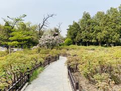 -晋祠公园