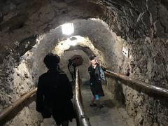 -武隆天坑地缝国家地质公园