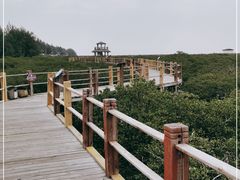 -北海金海湾红树林生态旅游区