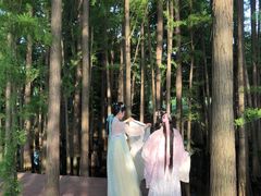 -东湖落雁景区